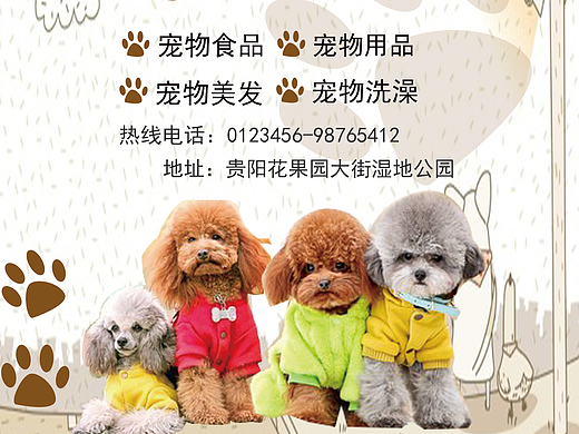 宠物海报（个人主页-ZMjM5OTE2MzY=） - 海报 - 站酷设计师丁凯丽原创素材 - 站酷ZCOOL