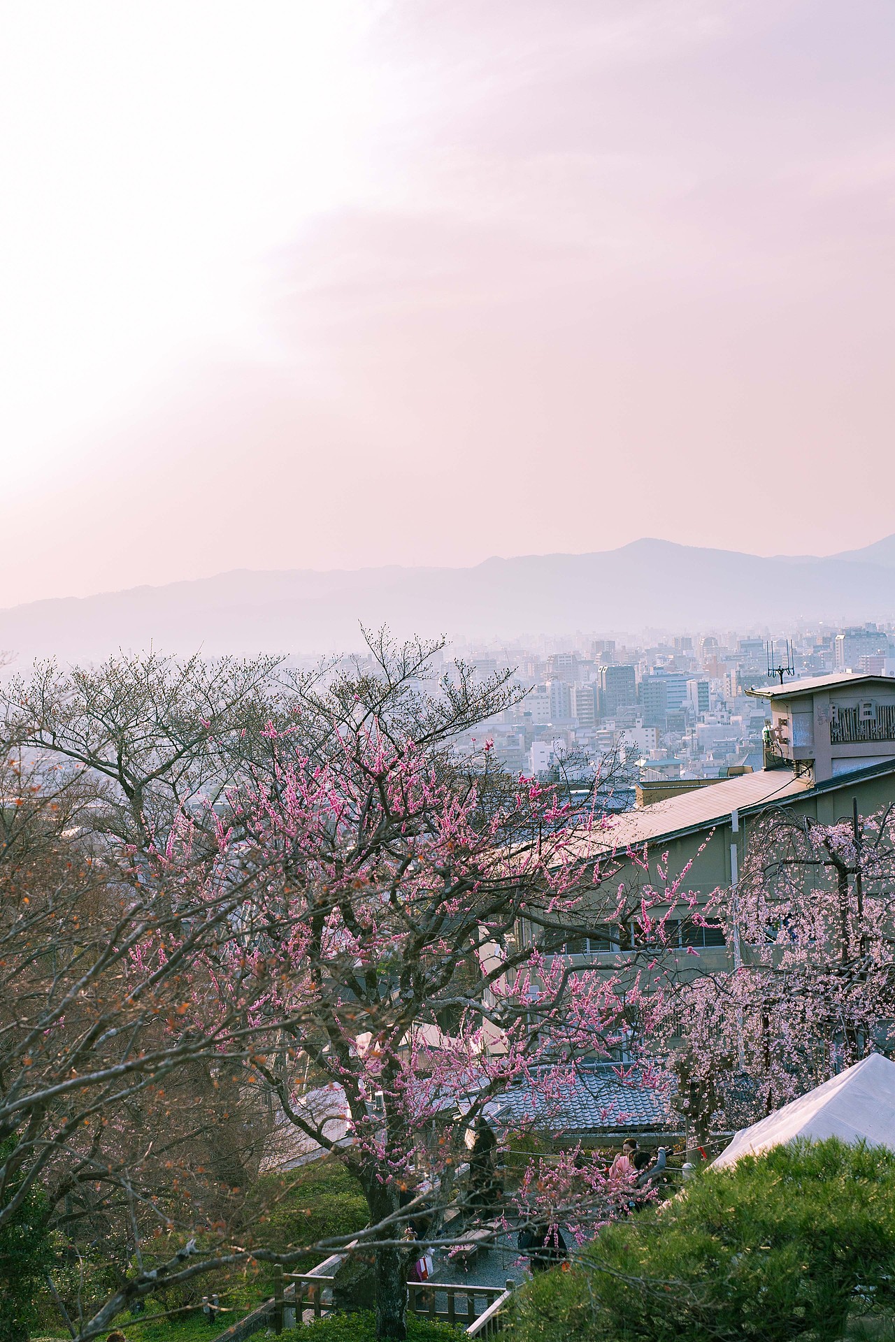 风吹过的街道在日本04