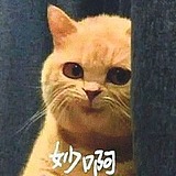 开瓜大师的头像