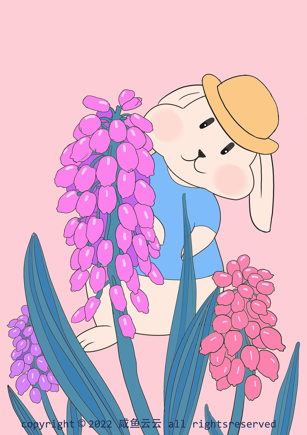 兔子与风信子