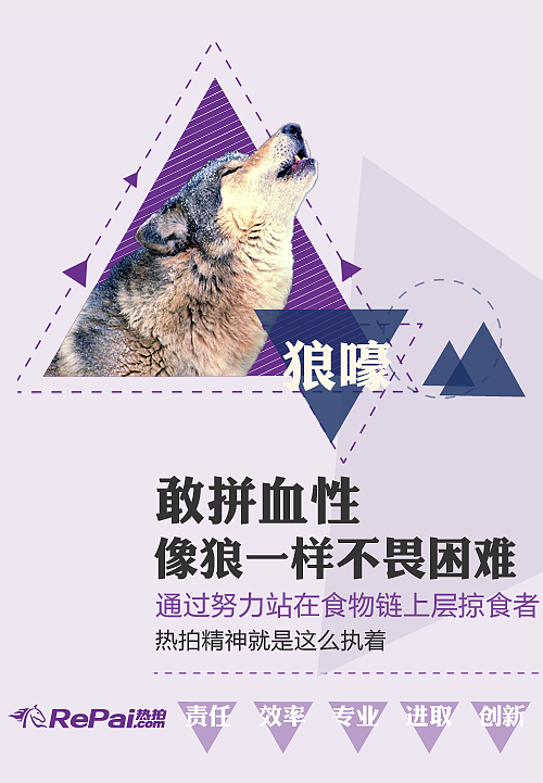 动物 平面 企业文化 企业精神 KT板 