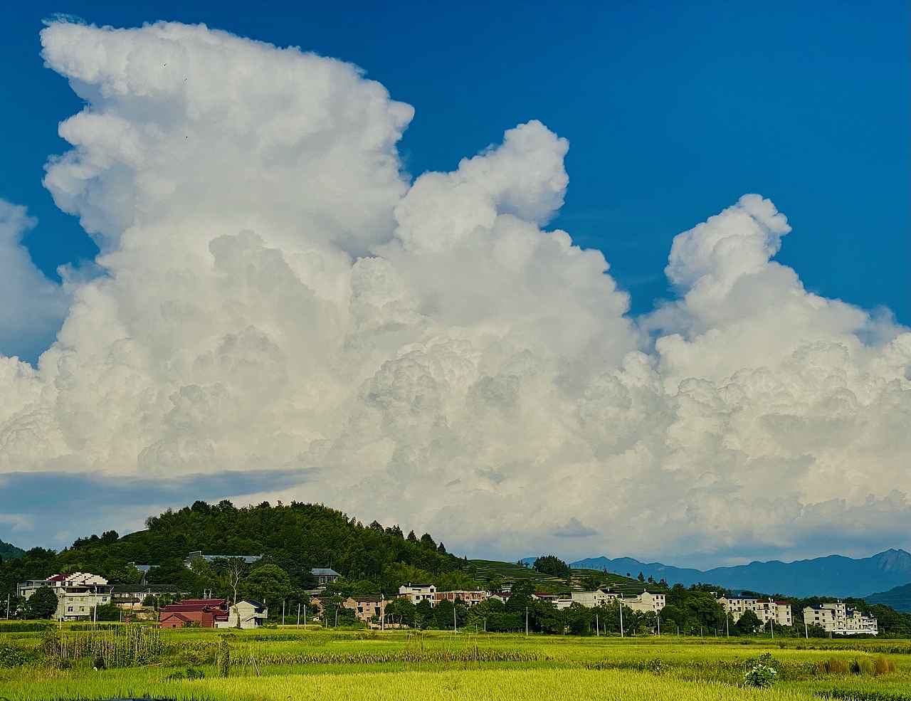 蓝天&稻田（图ZMzU2MTU3OTE2） - 风光摄影 - 站酷设计师Finn帆原创素材 - 站酷ZCOOL