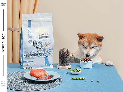 柴犬的春天『 狗粮｜宠物食品 』✖ JOE VISION