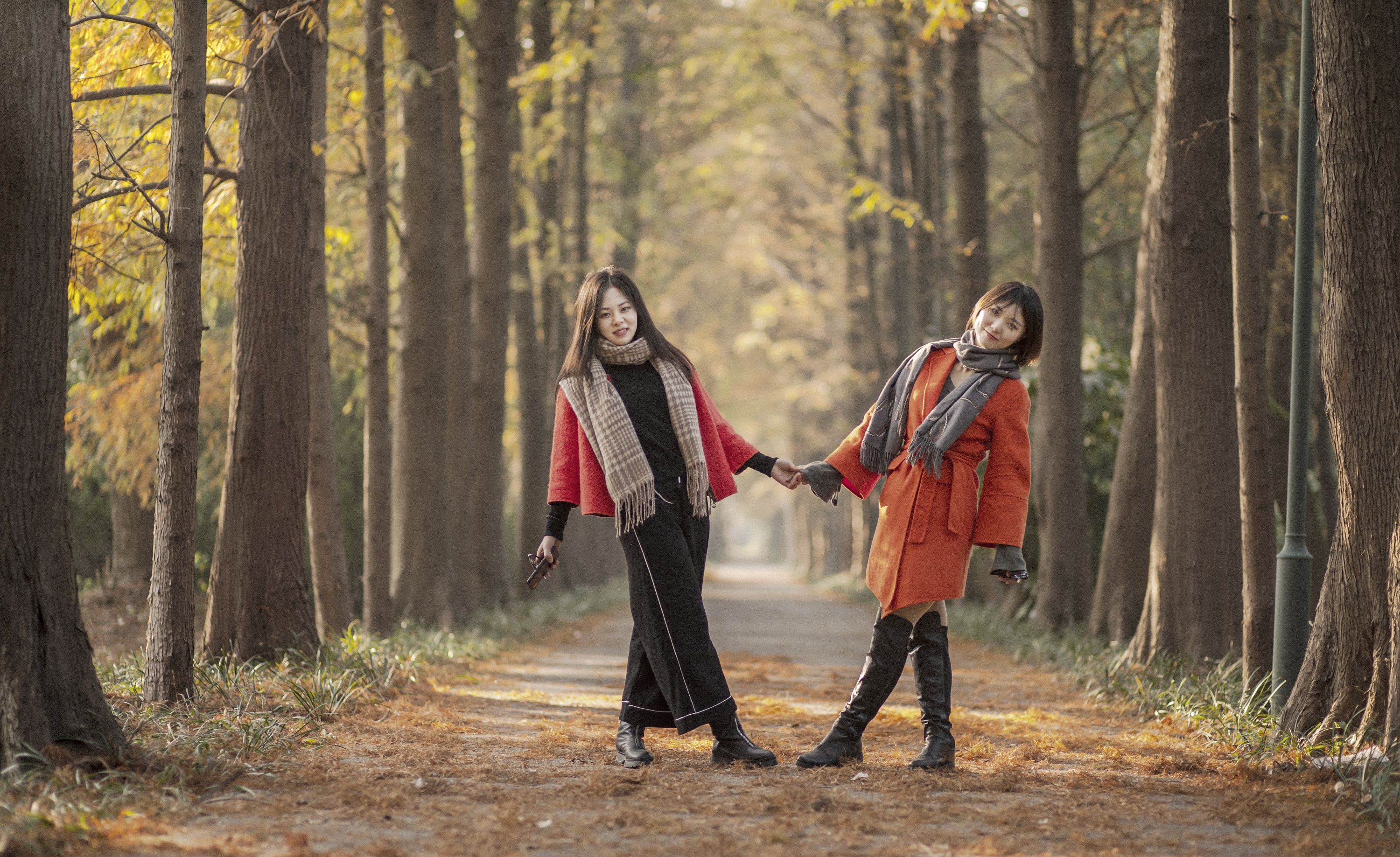 秋天的两只橙子