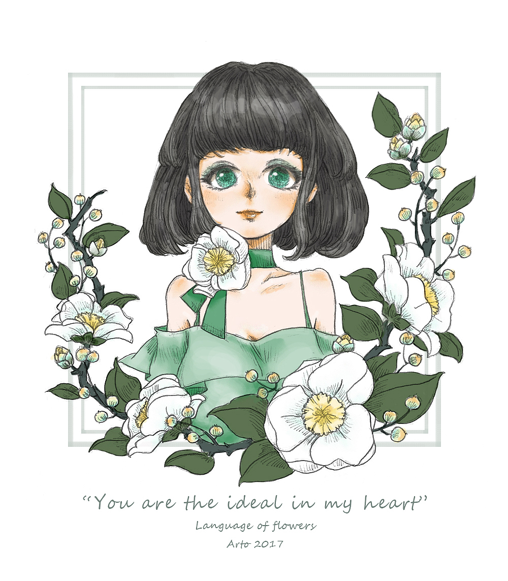 "我心中理想的你"白山茶