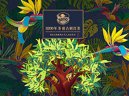 黑森林设计茶叶包装:多泡金装系列包装