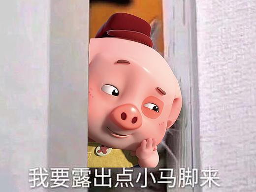 豆豆猪表情包精选:可萌可甜的豆豆猪来了!