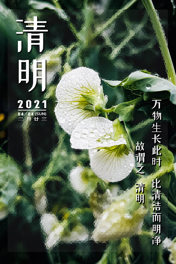 二十四節(jié)氣（圖ZMjUxODE1OTc2） - 海報(bào) - 站酷設(shè)計(jì)師拾又枝枝原創(chuàng)素材 - 站酷ZCOOL