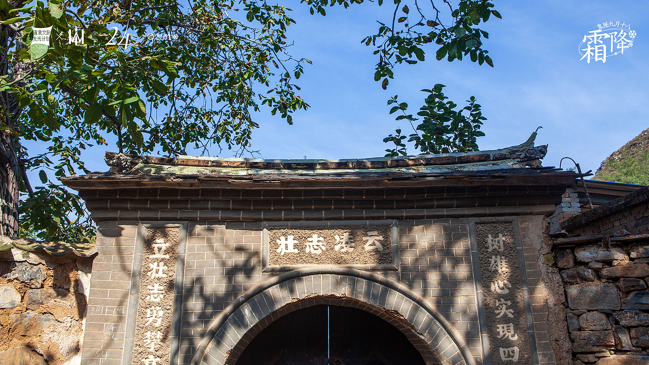 霜降 ｜ 好柿成霜，喜从天降。（图ZMjc0OTcyMTA4） - 风光摄影 - 站酷设计师豹四原创素材 - 站酷ZCOOL