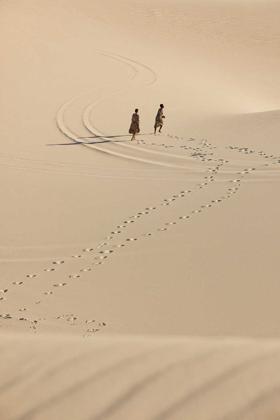 摄影参考Friendly Hunting