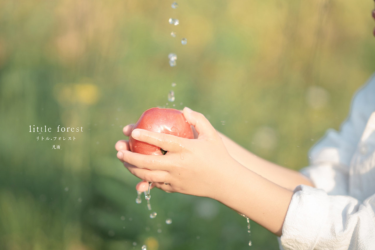 男孩纸的小森林