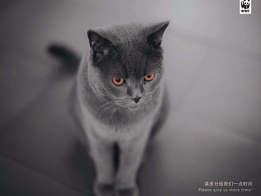 为什么设计师都爱黑白灰？