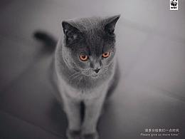 為什么設(shè)計師都愛黑白灰？