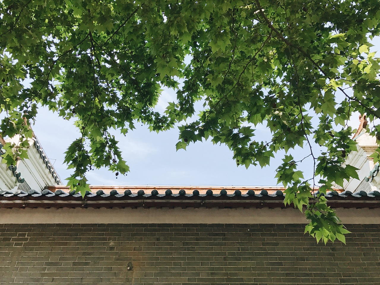 路上（图ZNzk2MTQyMDQ=） - 人文/纪实摄影 - 站酷设计师一禾唐原创素材 - 站酷ZCOOL