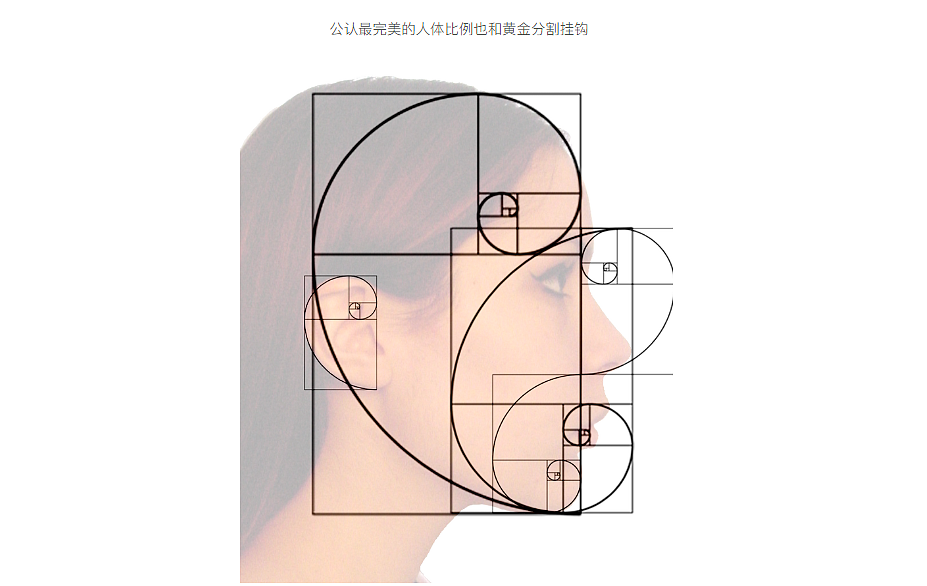 如何绘制黄金分割矩形？斐波那契数列（图ZMjAxMjQ5NTAw） - 其他 - 站酷设计师大小兴玲1102原创素材 - 站酷ZCOOL