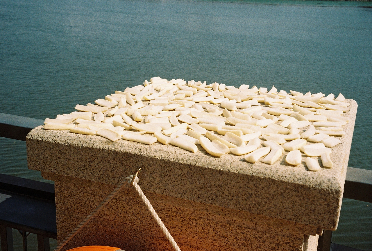 蚊基's胶片 19年 春节前（图ZMTUwOTM2NjU2） - 人像摄影 - 站酷设计师邓文杰dengstar原创素材 - 站酷ZCOOL