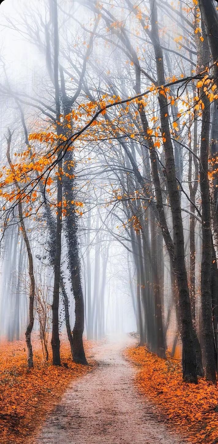 墙体彩绘涂鸦 案例图片分享13461460833