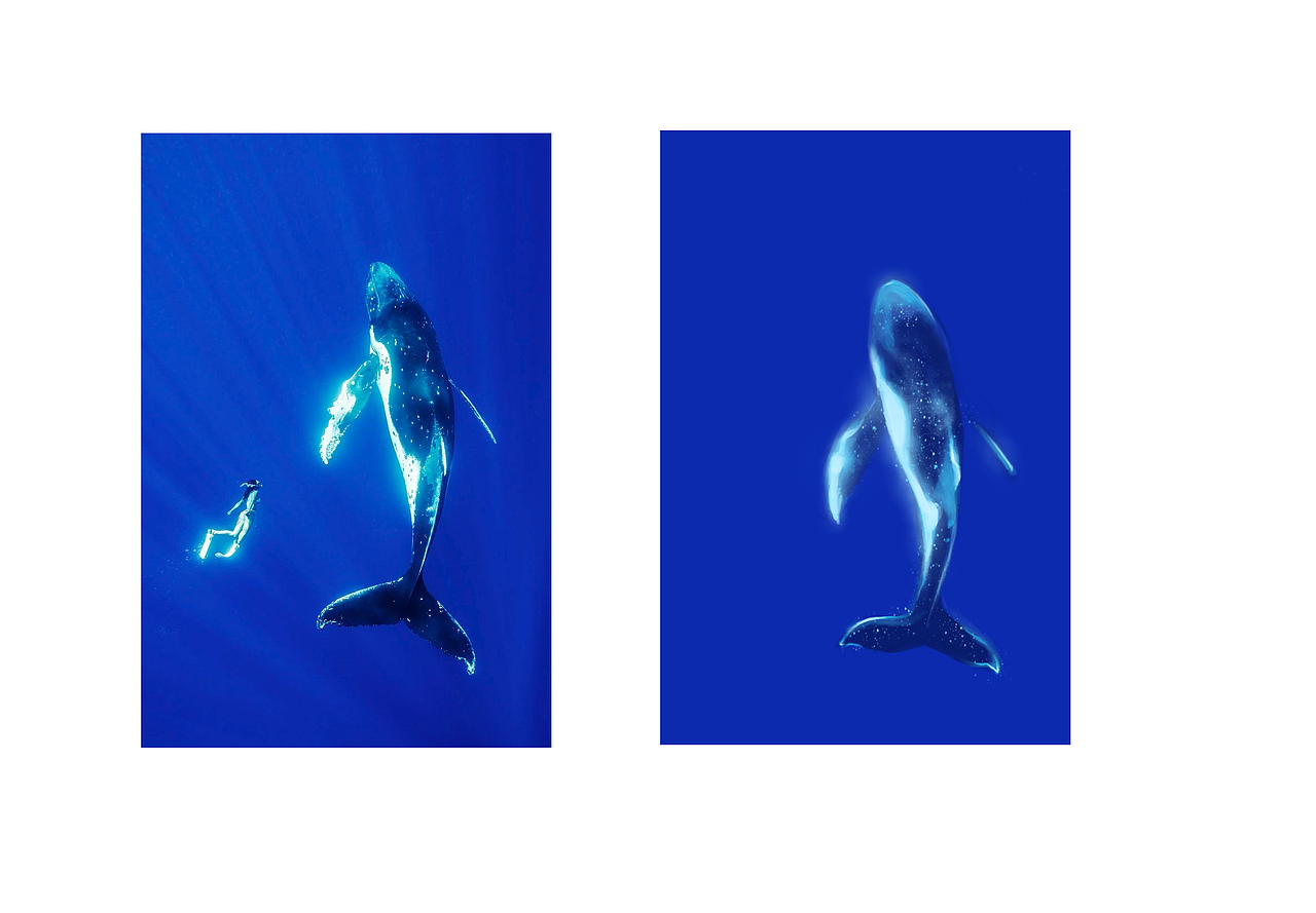 色彩派对30天-day13