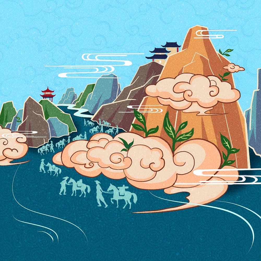 普洱茶包装插画