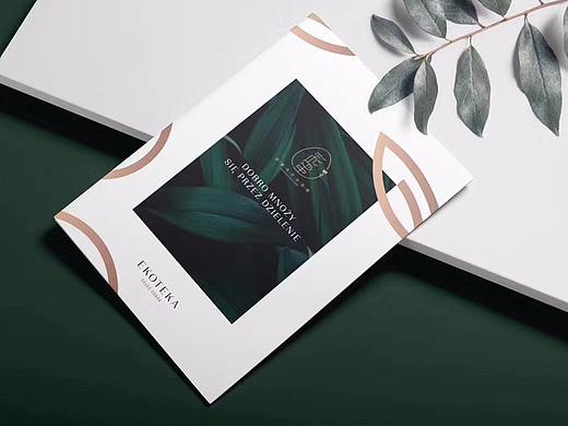 彩蛋花艺生活馆品牌logo设计