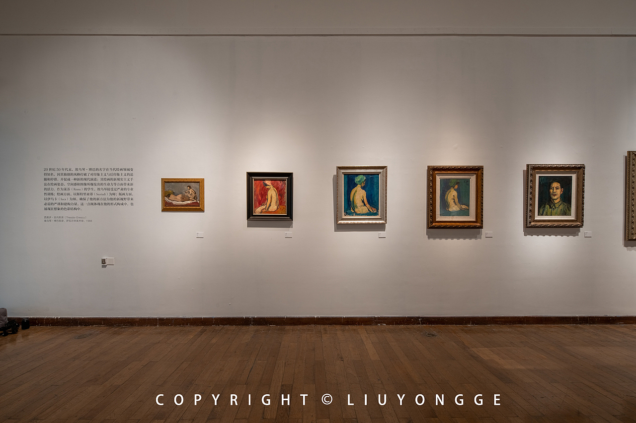 从不可见开始-埃乌琴·博巴与中国当代绘画展（图ZMjM0MDQwMjg4） - 环境/建筑摄影 - 站酷设计师刘永戈原创素材 - 站酷ZCOOL