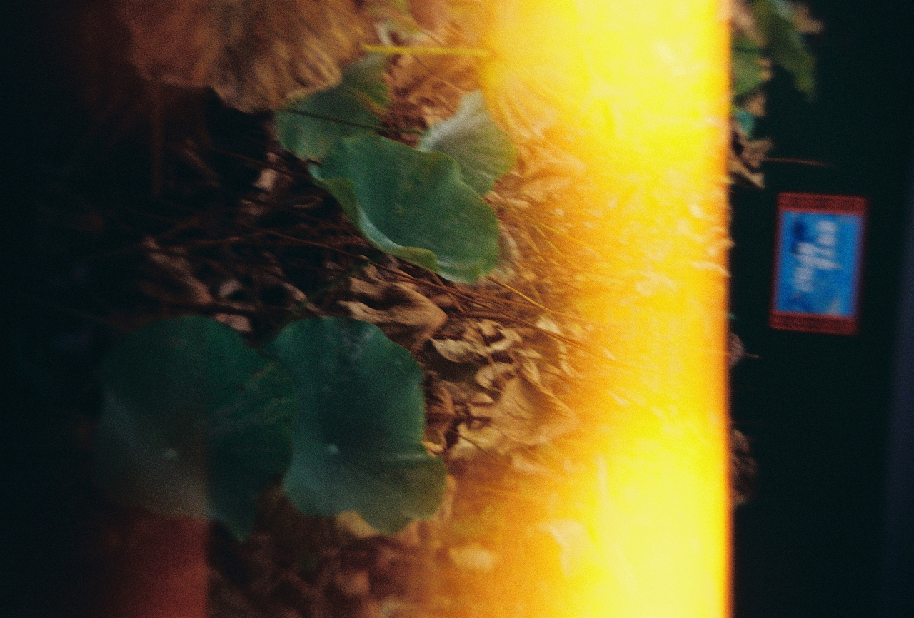 胶片（图ZMTg0NTMzNzQ4） - 人像摄影 - 站酷设计师坤意有生原创素材 - 站酷ZCOOL