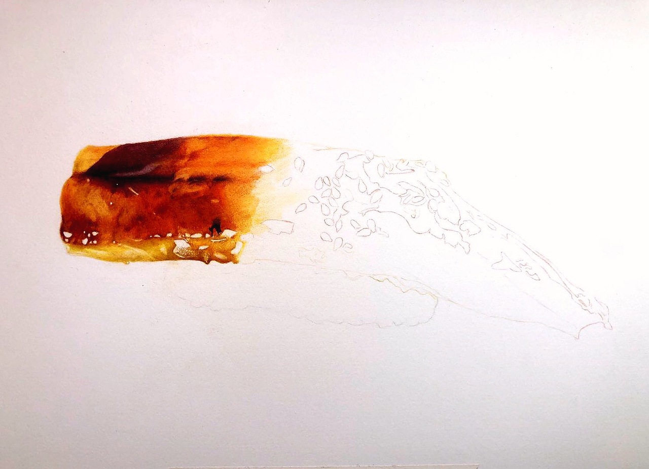 彩铅【鳗鱼寿司】