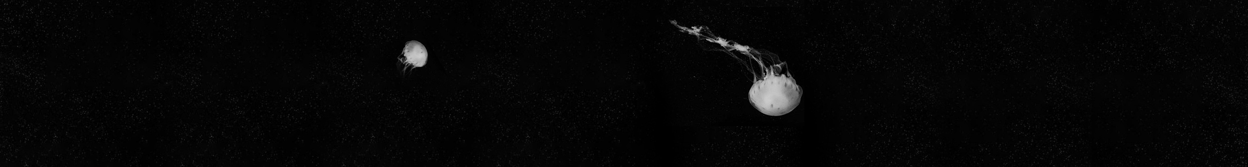 年不少丶的个人主页（封面预览） - 主页封面设置 - 站酷设计师年不少丶原创素材 - 站酷ZCOOL