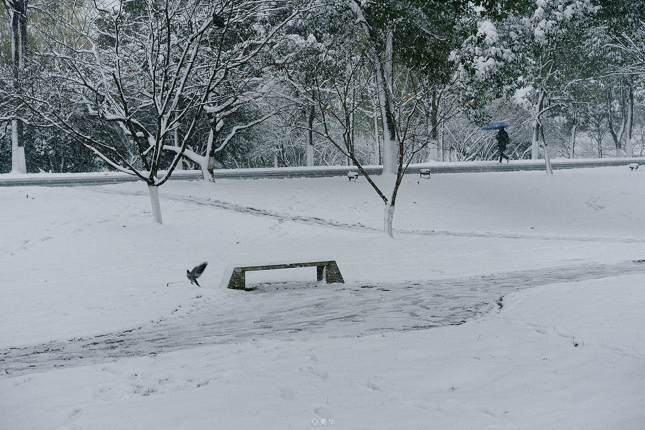 橘子洲·初雪（图ZMzE2MTkzMzAw） - 风光摄影 - 站酷设计师是汪汪汪呀原创素材 - 站酷ZCOOL