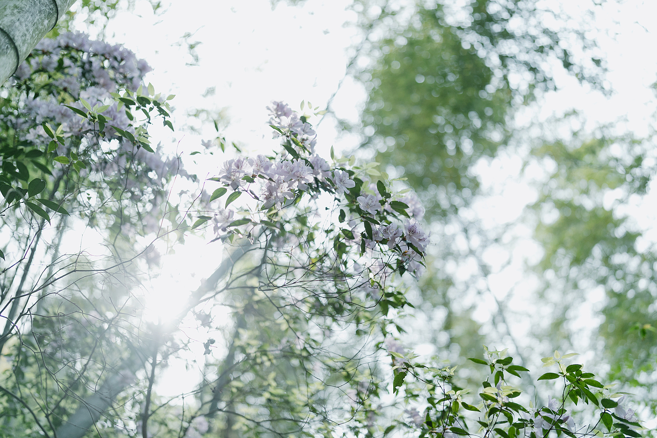 梅菜笋干的香味你闻到了吗