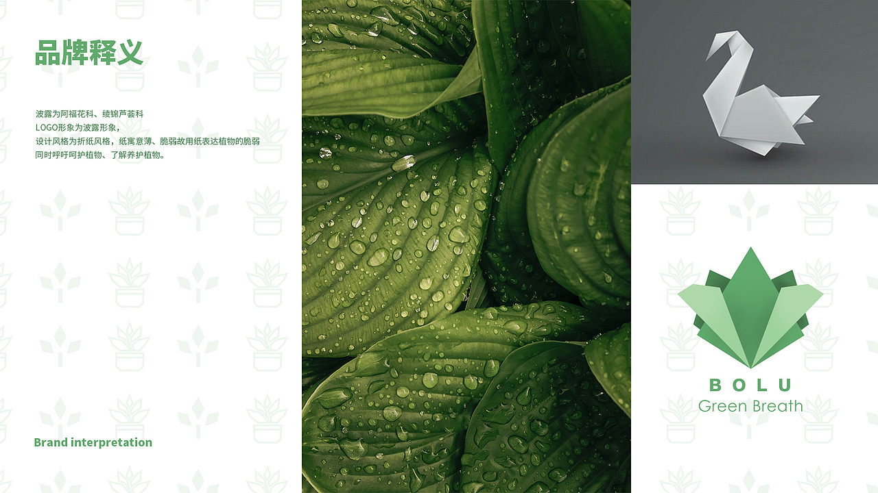 【BOLU】绿植品牌VI-Green plant design（图ZMzAzMDQxNTM2） - Logo - 站酷设计师卷卷心呀原创素材 - 站酷ZCOOL