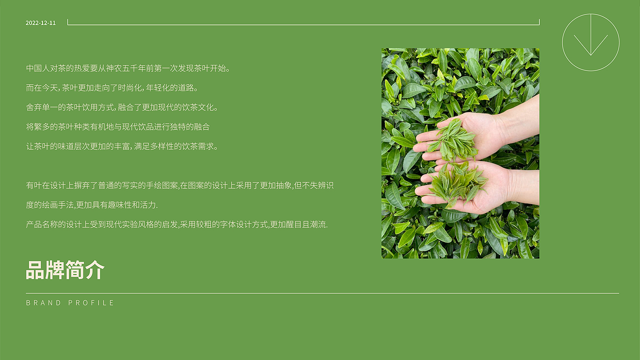 有叶【 YOUYE 】茶包品牌设计 \ 原创茶包装