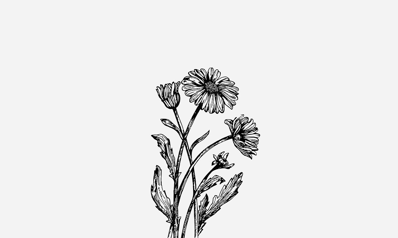 含片包装视觉形象提升