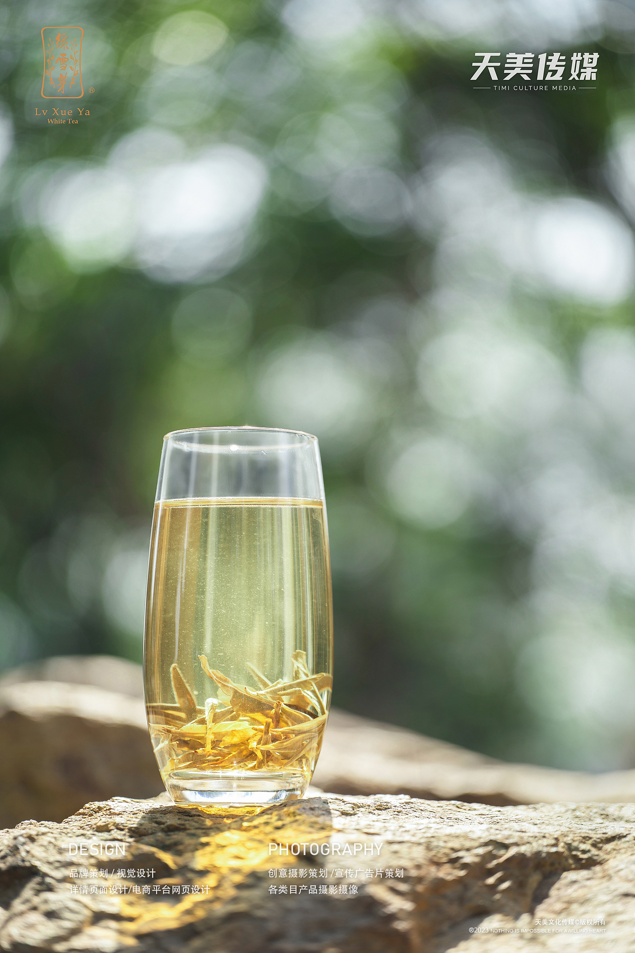 茶叶拍摄 茶叶摄影 福鼎白茶拍摄 茶叶视频拍摄 茶产品（图ZMzU0NjAwMDIw） - 产品摄影 - 站酷设计师福鼎天美文化传媒原创素材 - 站酷ZCOOL