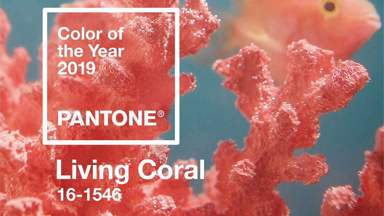 Dorel Juvenile童车软装CMF研究（图ZMzQ3MTg0OTA4） - 生活用品 - 站酷设计师aR强原创素材 - 站酷ZCOOL