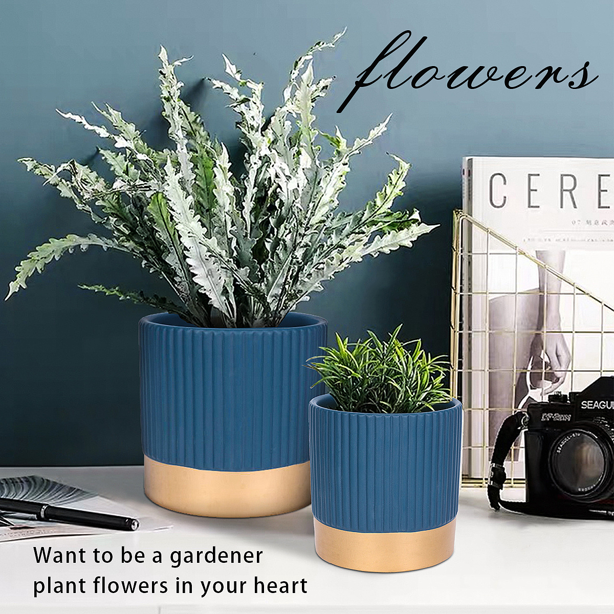 主图（图ZMzAyODgzMjk2） - 其他平面 - 站酷设计师坚强的潘茄原创素材 - 站酷ZCOOL