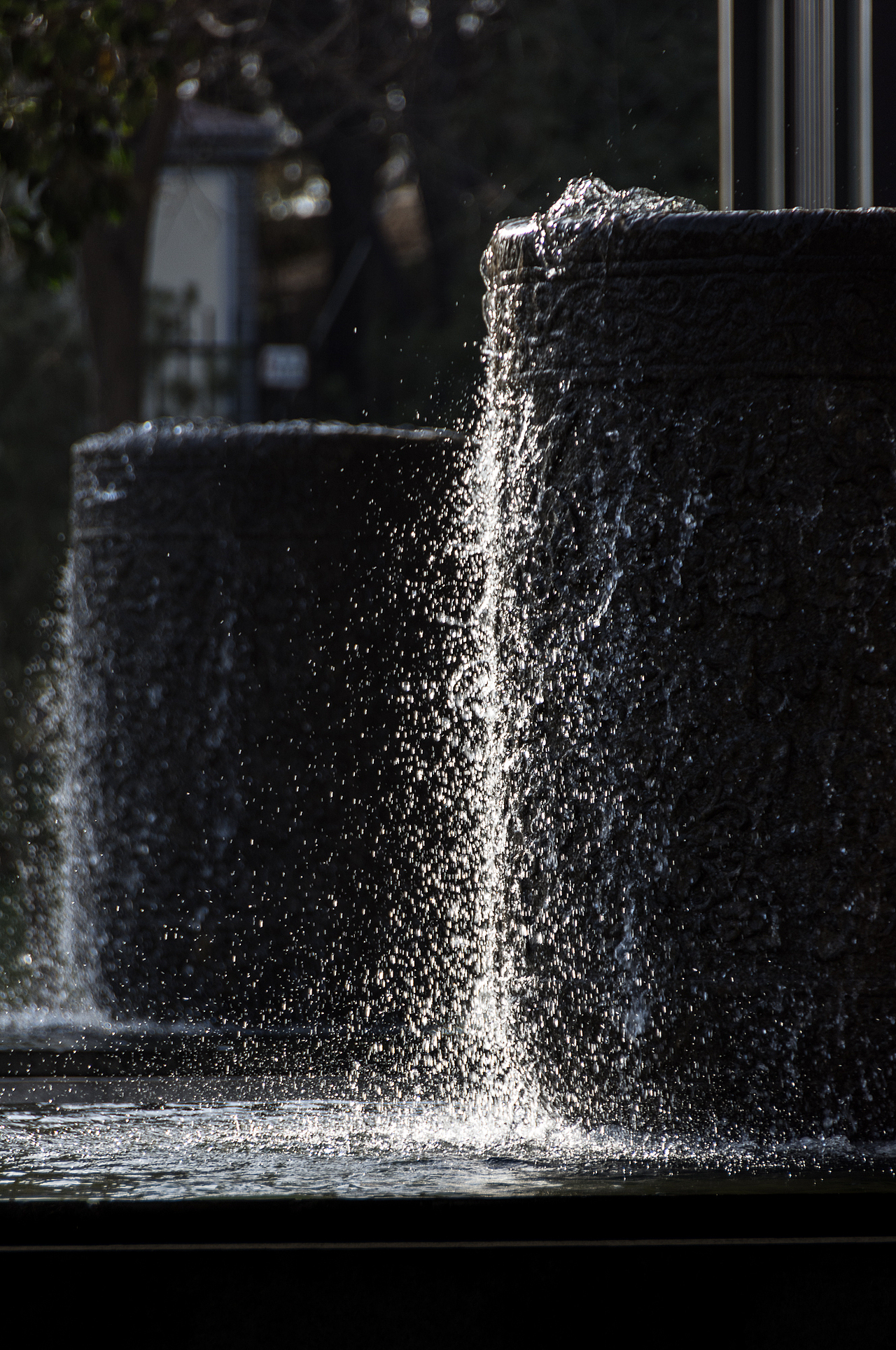 【随拍】春暖花开,一切都是美好而又有希望