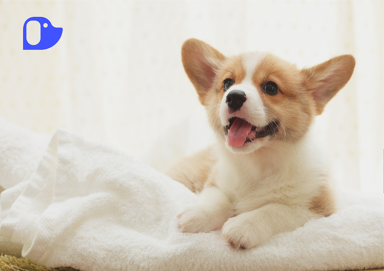 彼一叻品牌包装设计（图ZMjQ2NTg0MzQw） - 品牌 - 站酷设计师国昊原创素材 - 站酷ZCOOL