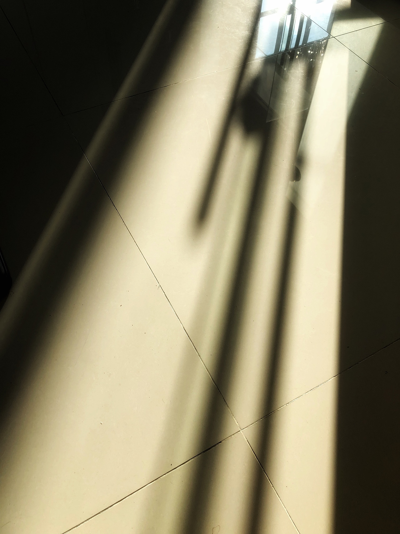 阳光透过玻璃,大厅,照进会议室。这种感觉令我惊喜不已,像是回到了小时候的老家。