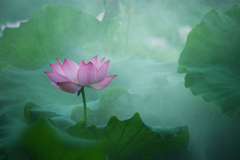 wangjingjuan的个人主页（封面预览） - 主页封面设置 - 站酷设计师wangjingjuan原创素材 - 站酷ZCOOL