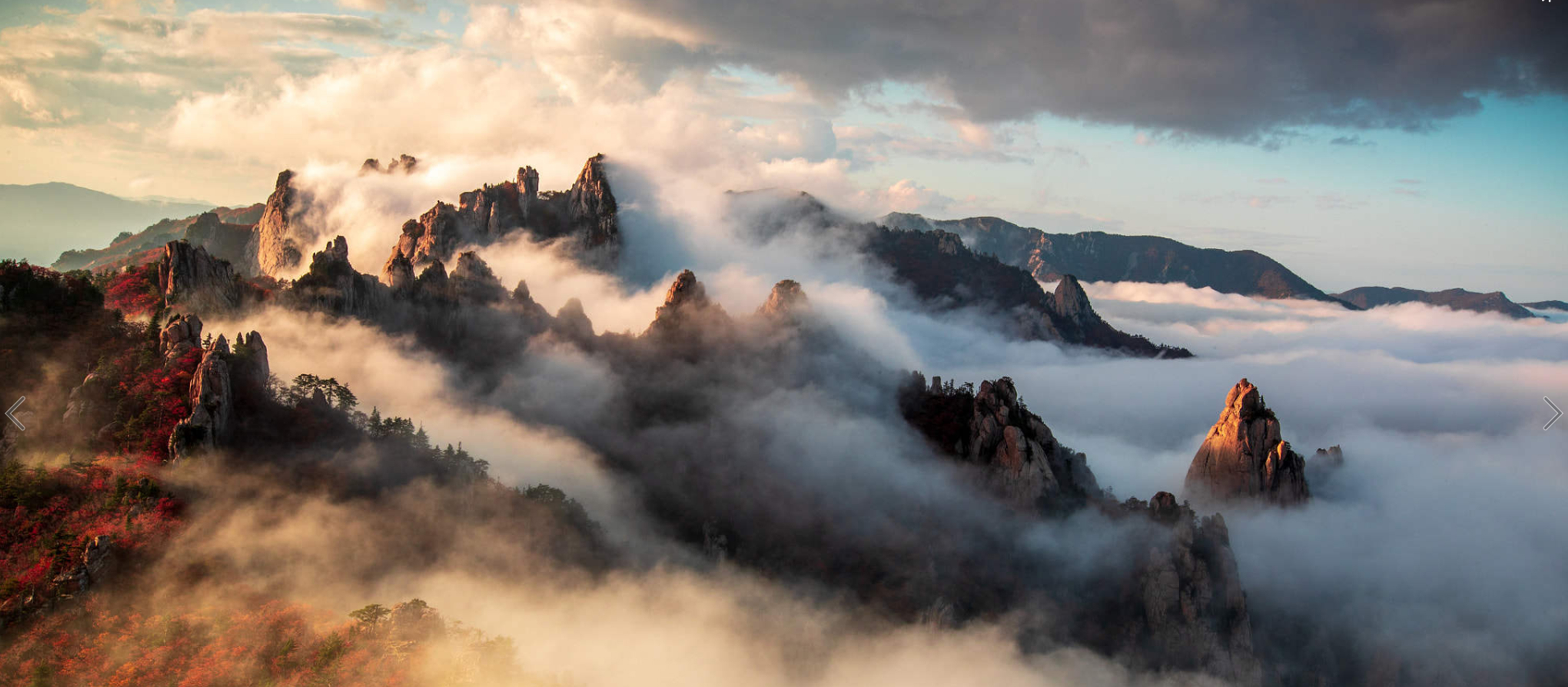 撿起路邊小板磚的個人主頁（封面預(yù)覽） - 主頁封面設(shè)置 - 站酷設(shè)計師撿起路邊小板磚原創(chuàng)素材 - 站酷ZCOOL