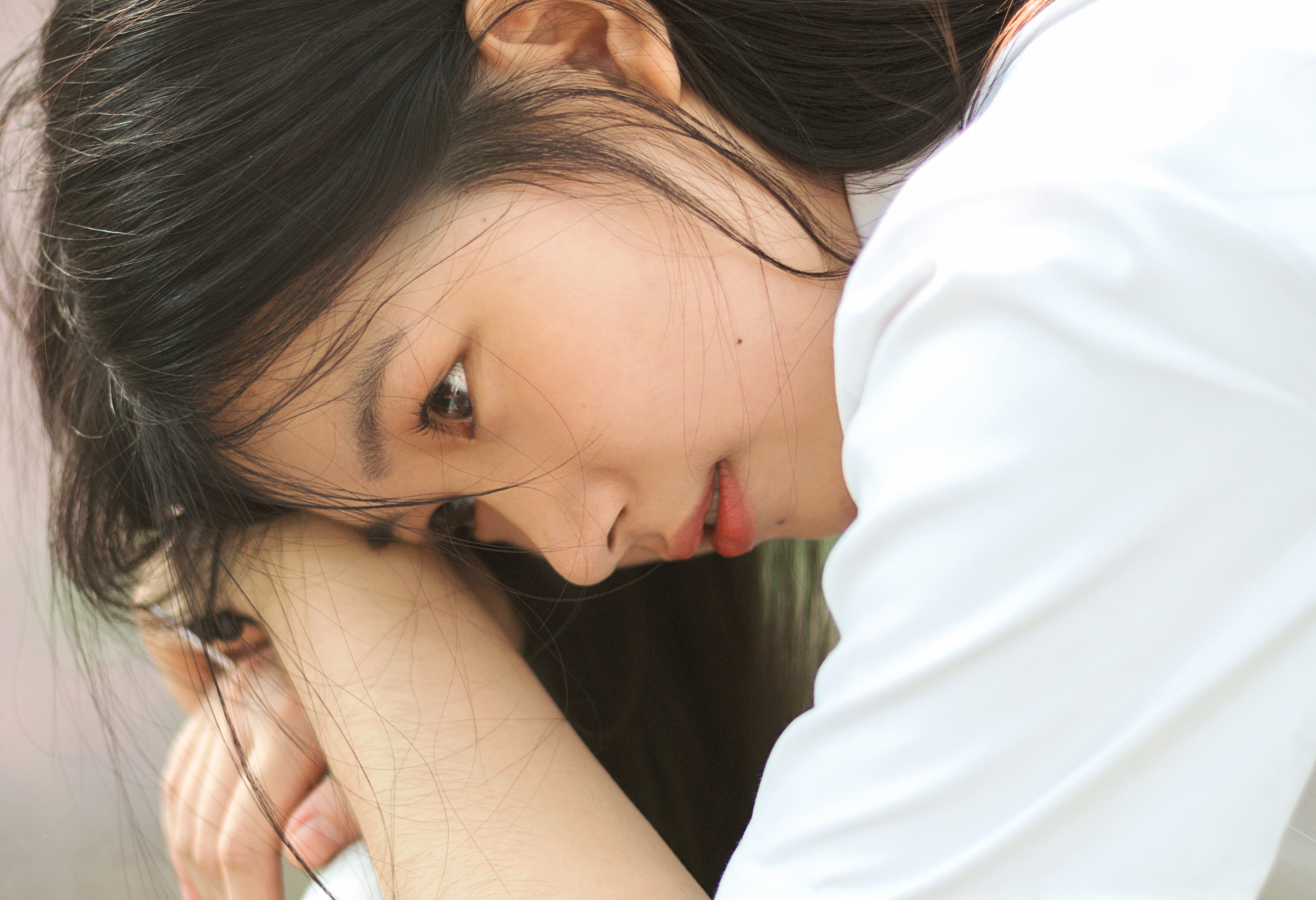 热夏 你归来 听蝉