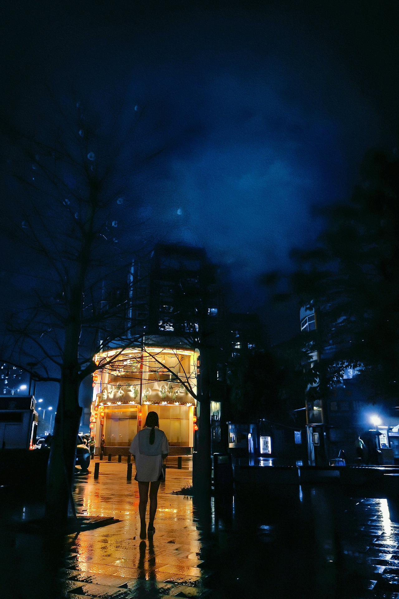 龙岗龙东社区夜景