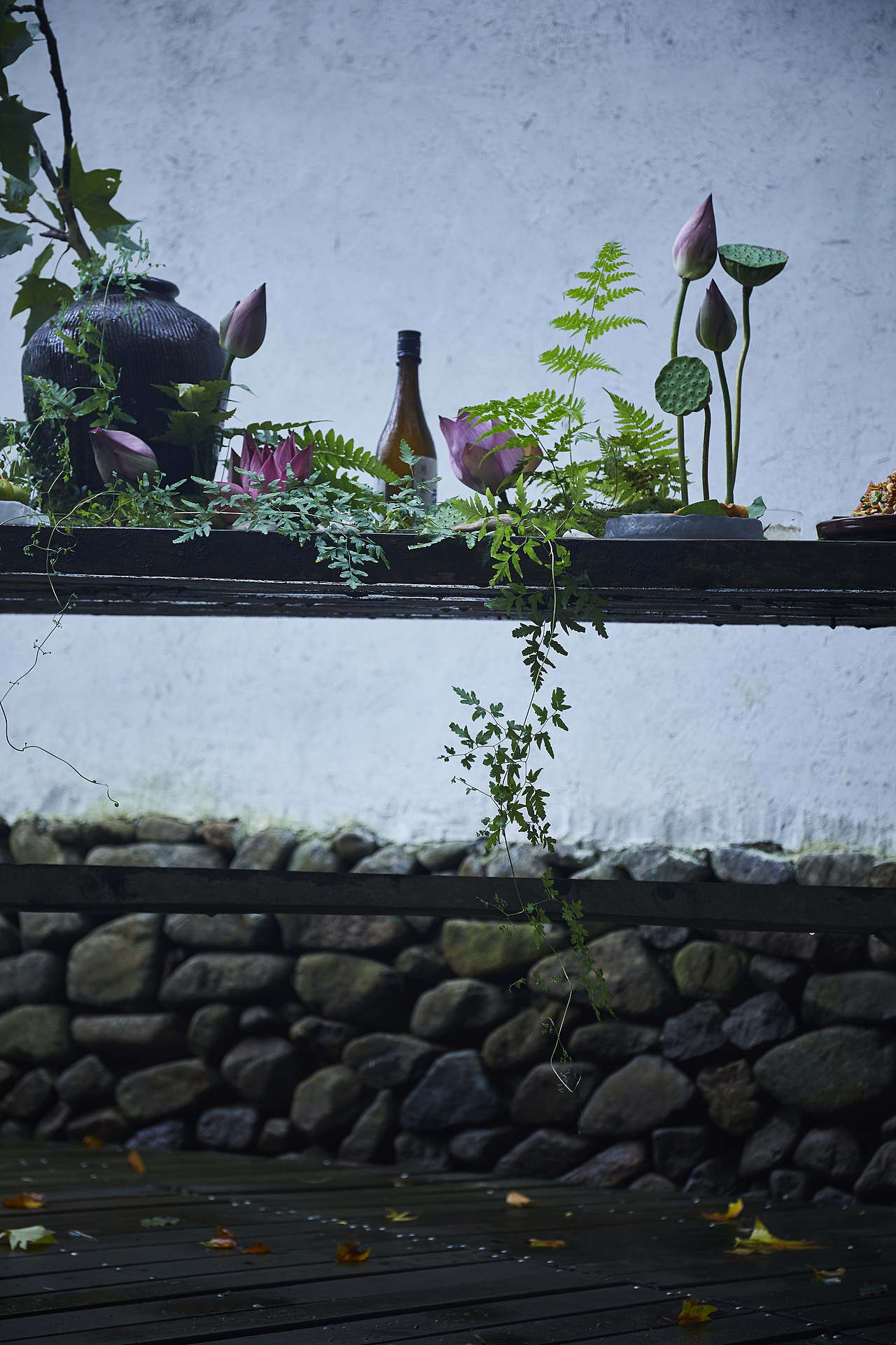 夏日终曲｜山林之味（图ZMjY1NTc5MDg0） - 美食摄影 - 站酷设计师梅食间原创素材 - 站酷ZCOOL