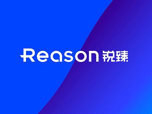 CAOPENG DESIGN·Reason国际培训机构品牌形象设计