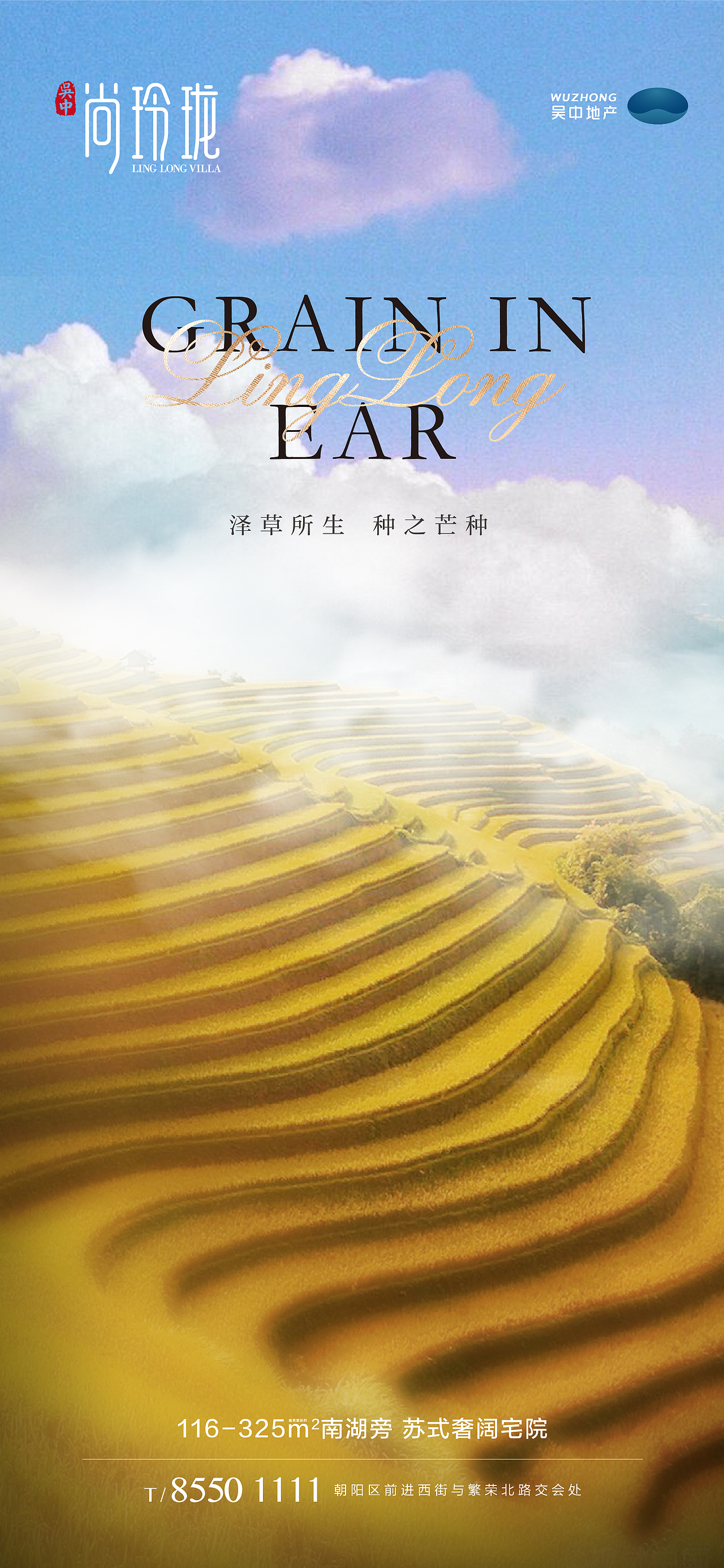 节气海报（图ZMjA5ODA3ODA4） - 海报 - 站酷设计师木荷仔原创素材 - 站酷ZCOOL
