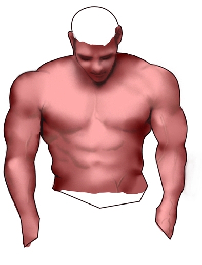 今天绘画了一些肌肉图与大家分享