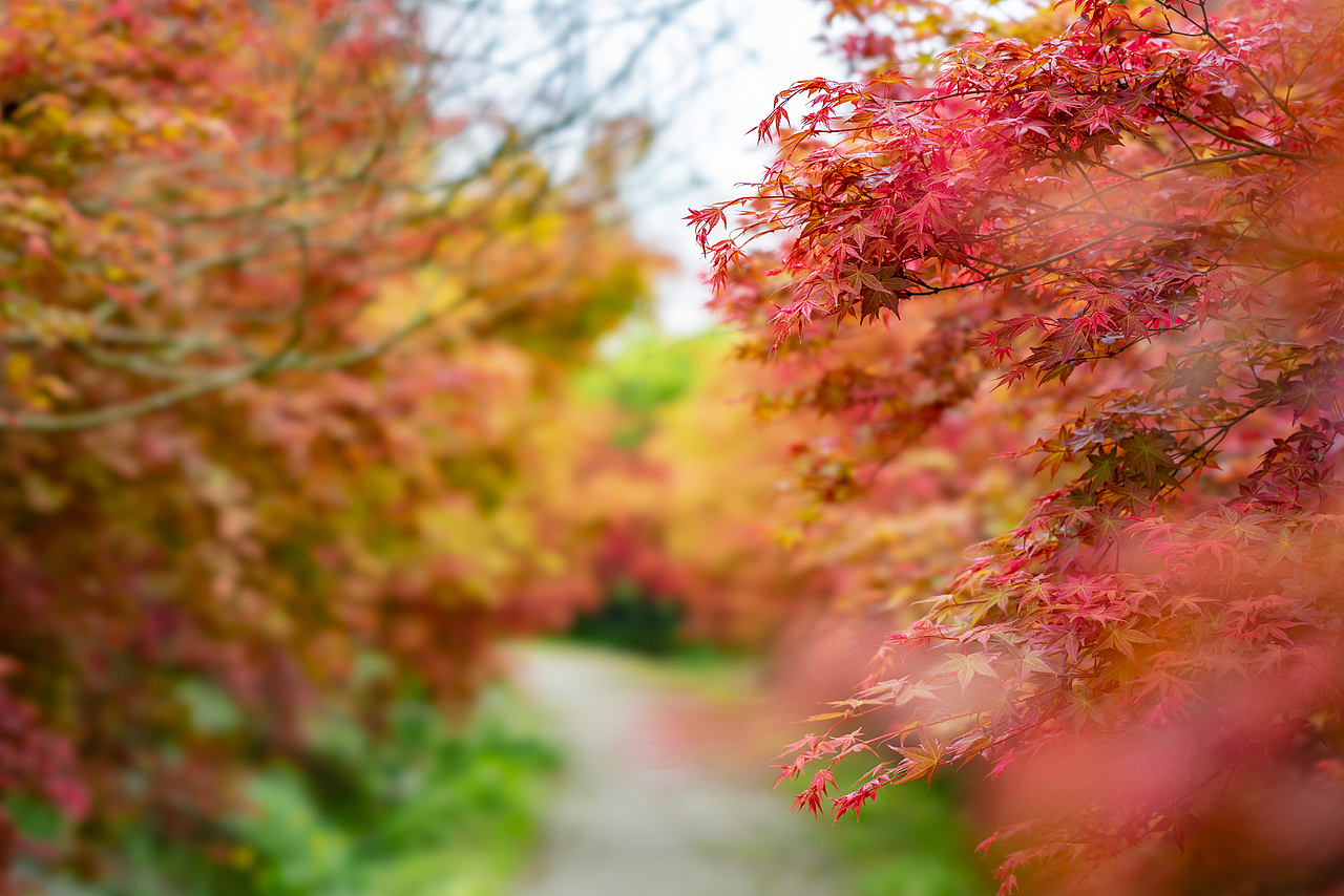陶醉在春天的花花世界里（图ZMTUzNTQ5MjI0） - 人像摄影 - 站酷设计师迪克高原创素材 - 站酷ZCOOL