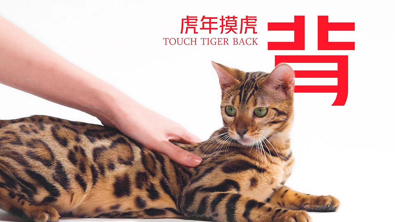 珀珀宠影x红魔游戏手机之过年贺岁小片