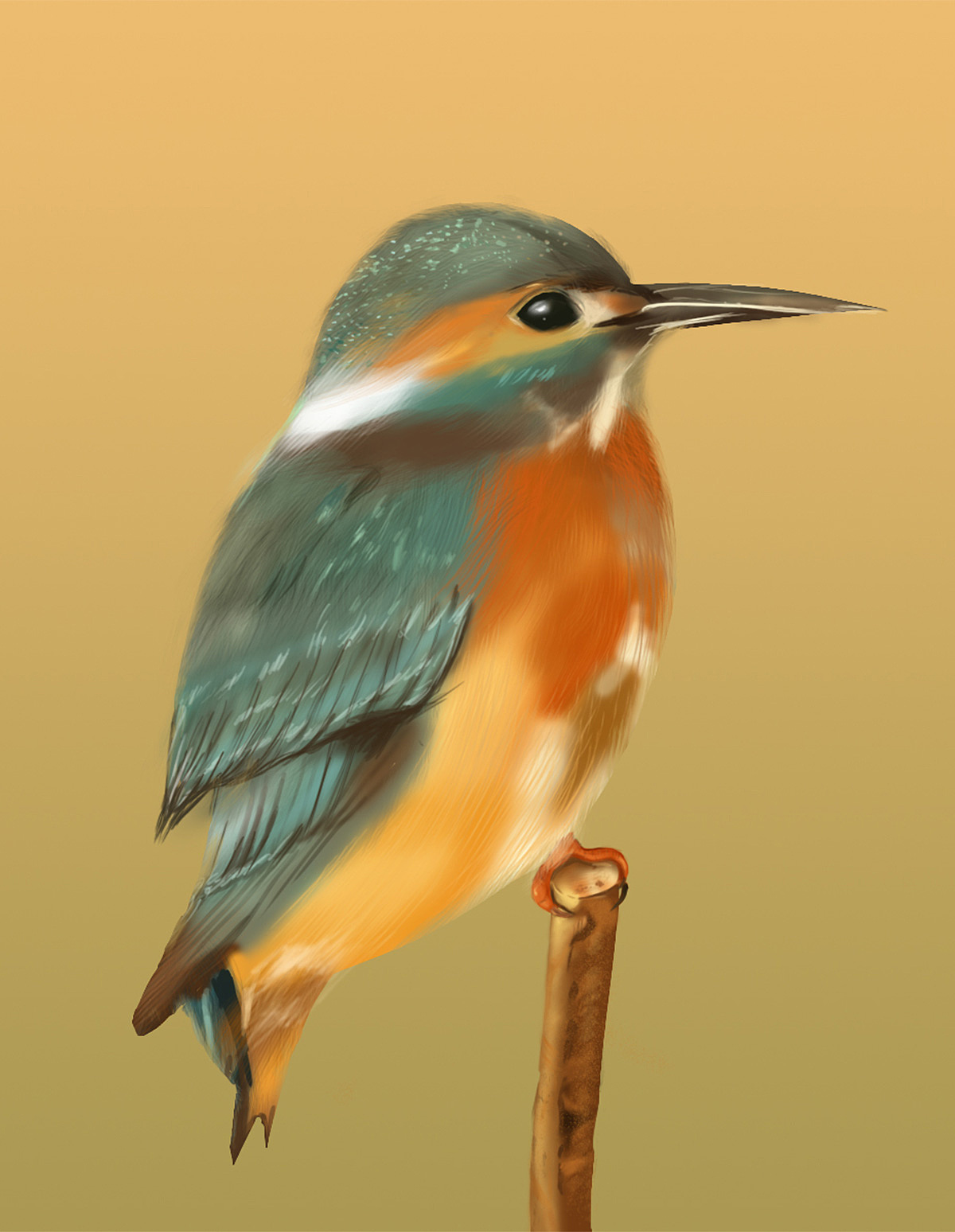 厚涂（图ZMjY5NzUxODA4） - 商业插画 - 站酷设计师凉笙Yun原创素材 - 站酷ZCOOL